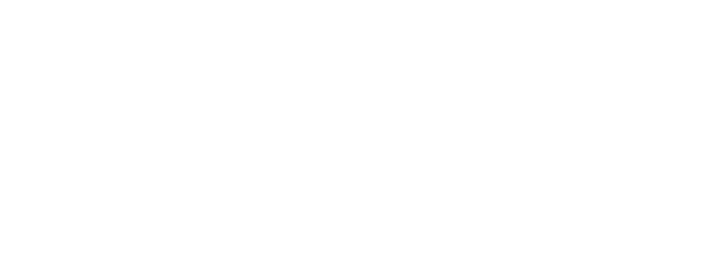 Logo ufficiale della Revolution Business School, accademia di formazione business e manageriale